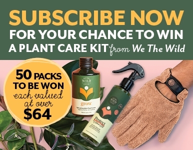 SUBSCRIBE FOR YOUR CHANCE TO WIN A PLANT CARE KIT FROM WE THE WILD!