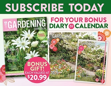 SUBSCRIBE AND RECEIVE A BONUS 2026 CALENDAR OR DIARY!