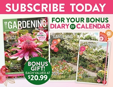 SUBSCRIBE AND RECEIVE A BONUS 2026 CALENDAR OR DIARY!