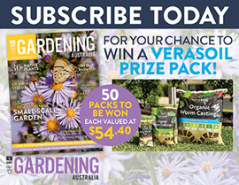 SUBSCRIBE FOR YOUR CHANCE TO WIN A VERASOIL PRIZE PACK!