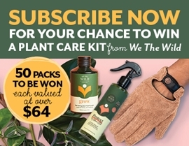 SUBSCRIBE FOR YOUR CHANCE TO WIN A PLANT CARE KIT FROM WE THE WILD!