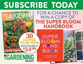 SUBSCRIBE FOR YOUR CHANCE TO WIN A COPY OF THE SUPER BLOOM HANDBOOK!