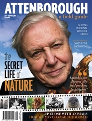 Attenborough – A Field Guide Magazine