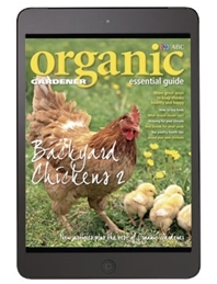 Organic Gardener Essential Guide #10 - Backyard Chickens 2 - Digital Edition