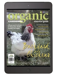 Organic Gardener Essential Guide #7 - Backyard Chickens - Digital Edition
