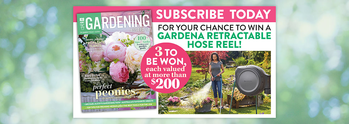 GDN Carousel 2