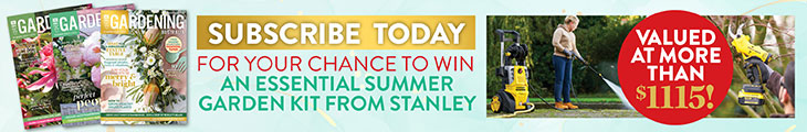 SUBSCRIBE FOR YOUR CHANCE TO WIN AN ESSENTIAL SUMMER GARDEN KIT!