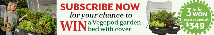SUBSCRIBE FOR YOUR CHANCE TO WIN A VEGEPOD GARDEN BED WITH COVER!