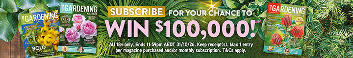 SUBSCRIBE FOR YOUR CHANCE TO WIN $100,000!