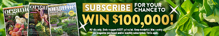 SUBSCRIBE FOR YOUR CHANCE TO WIN $100,000!