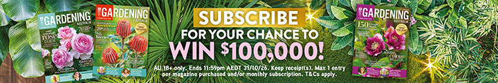 SUBSCRIBE FOR YOUR CHANCE TO WIN $100,000!