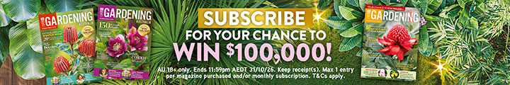 SUBSCRIBE FOR YOUR CHANCE TO WIN $100,000!