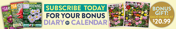 SUBSCRIBE AND RECEIVE A BONUS 2027 CALENDAR OR DIARY!