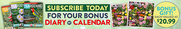 SUBSCRIBE AND RECEIVE A BONUS 2027 CALENDAR OR DIARY!