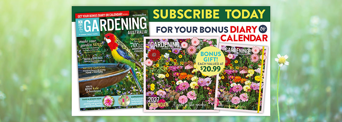 GDN Carousel 2